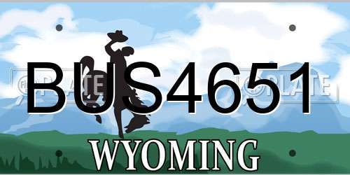 BUS4651 Wyoming License Plate