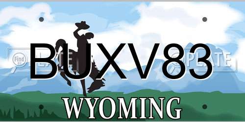 BUXV83 Wyoming License Plate