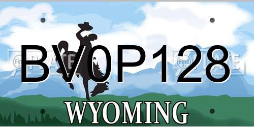 BV0P128 Wyoming License Plate