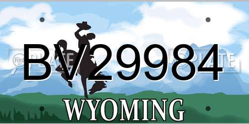 BV29984 Wyoming License Plate
