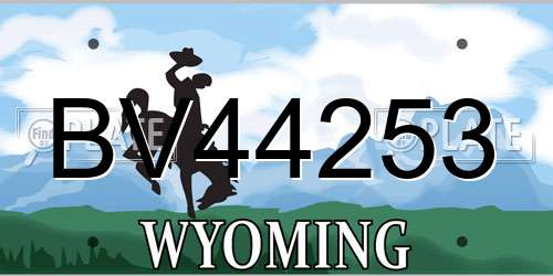 BV44253 Wyoming License Plate