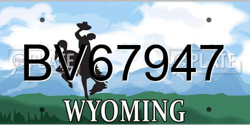 BV67947 Wyoming License Plate