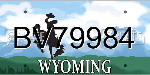 BV79984 Wyoming License Plate