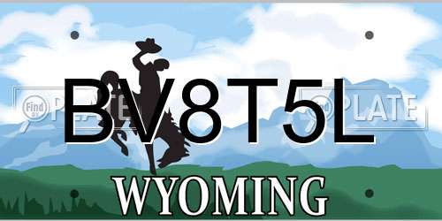 BV8T5L Wyoming License Plate