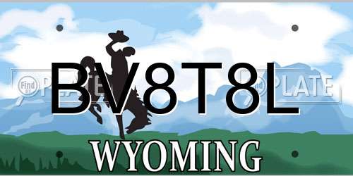 BV8T8L Wyoming License Plate