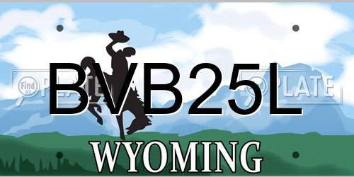 BVB25L Wyoming License Plate