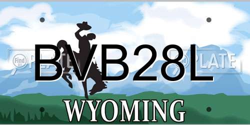 BVB28L Wyoming License Plate