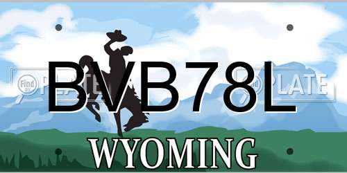 BVB78L Wyoming License Plate
