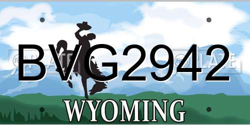 BVG2942 Wyoming License Plate