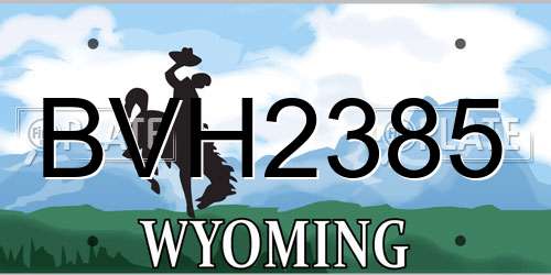 BVH2385 Wyoming License Plate