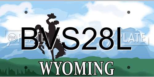 BVS28L Wyoming License Plate