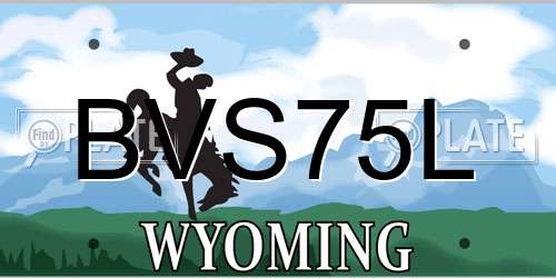 BVS75L Wyoming License Plate
