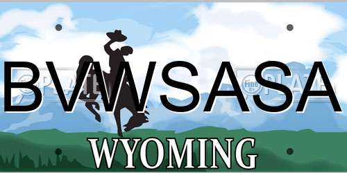BVWSASA Wyoming License Plate