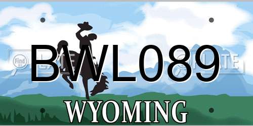 BWL089 Wyoming License Plate