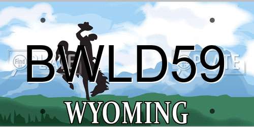 BWLD59 Wyoming License Plate