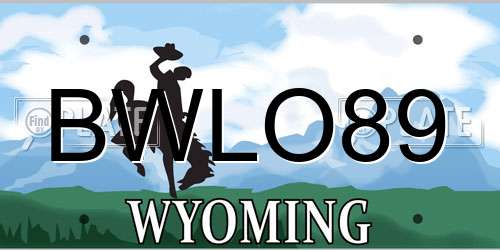 BWLO89 Wyoming License Plate