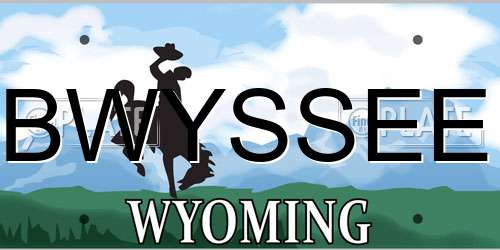 BWYSSEE Wyoming License Plate