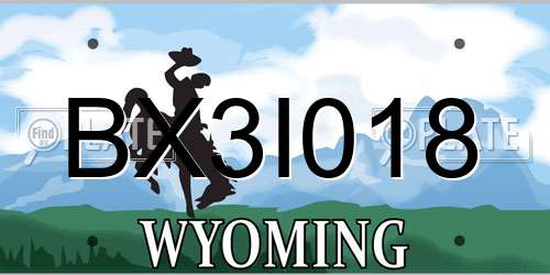 BX3I018 Wyoming License Plate