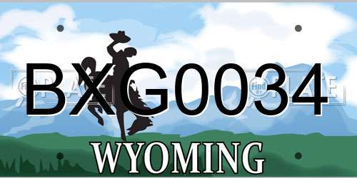 BXG0034 Wyoming License Plate