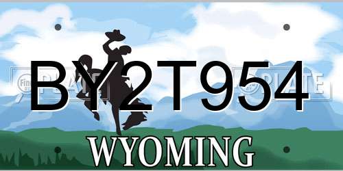 BY2T954 Wyoming License Plate