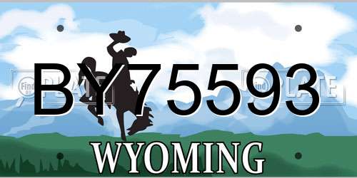BY75593 Wyoming License Plate