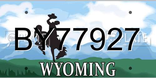 BY77927 Wyoming License Plate