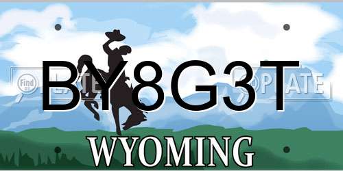 BY8G3T Wyoming License Plate