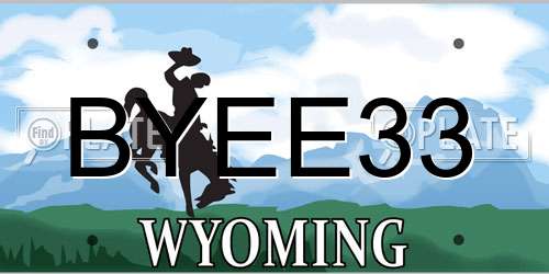 BYEE33 Wyoming License Plate