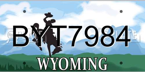 BYT7984 Wyoming License Plate