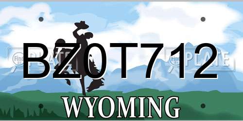 BZ0T712 Wyoming License Plate