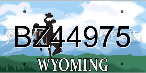 BZ44975 Wyoming License Plate
