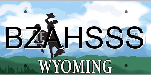 BZAHSSS Wyoming License Plate
