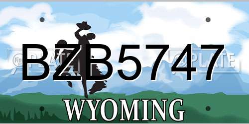 BZB5747 Wyoming License Plate