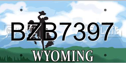 BZB7397 Wyoming License Plate