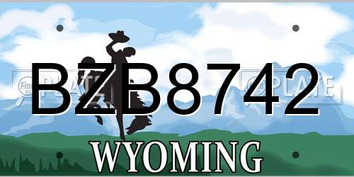 BZB8742 Wyoming License Plate