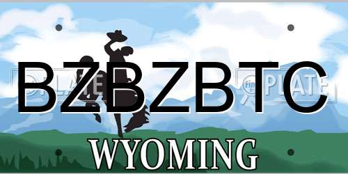 BZBZBTC Wyoming License Plate