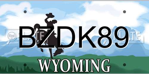 BZDK89 Wyoming License Plate