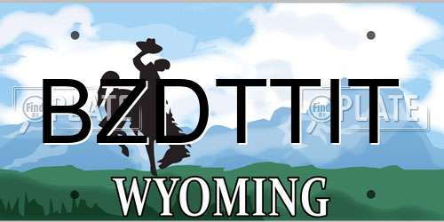 BZDTTIT Wyoming License Plate