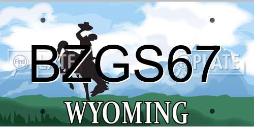 BZGS67 Wyoming License Plate