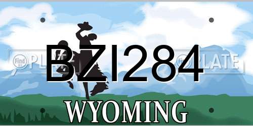 BZI284 Wyoming License Plate