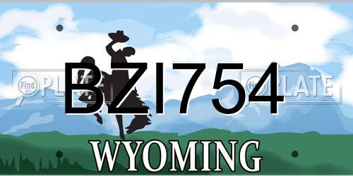 BZI754 Wyoming License Plate