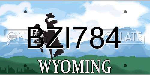BZI784 Wyoming License Plate