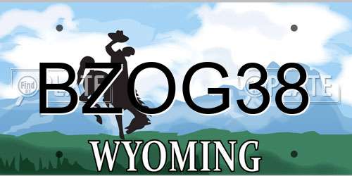 BZOG38 Wyoming License Plate