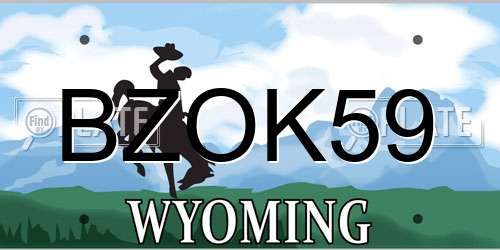 BZOK59 Wyoming License Plate