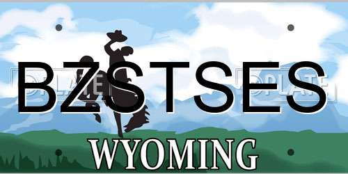 BZSTSES Wyoming License Plate
