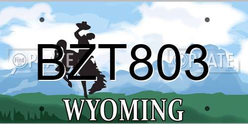 BZT803 Wyoming License Plate