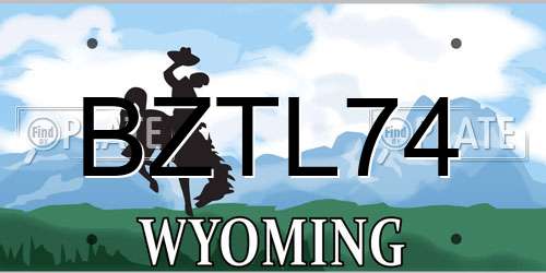 BZTL74 Wyoming License Plate