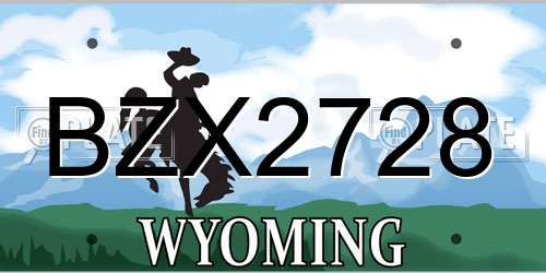 BZX2728 Wyoming License Plate