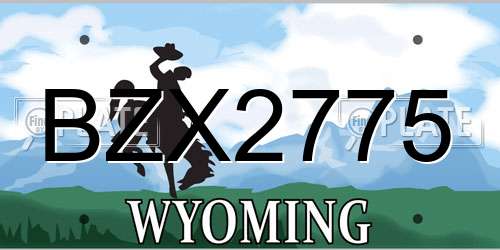 BZX2775 Wyoming License Plate