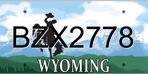 BZX2778 Wyoming License Plate